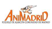 애니마드리드국제애니메이션 페스티벌(Animadrid International Animation Festival)